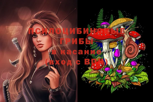 круглые Козловка