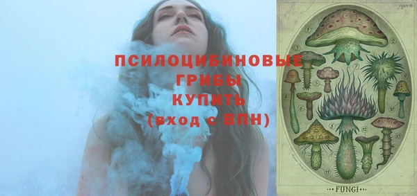 кокс Козельск