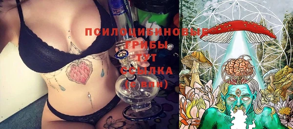 ALPHA PVP Костерёво
