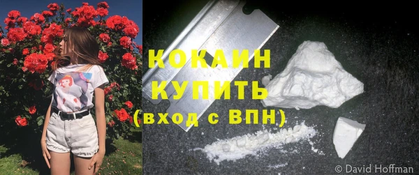 ALPHA PVP Костерёво