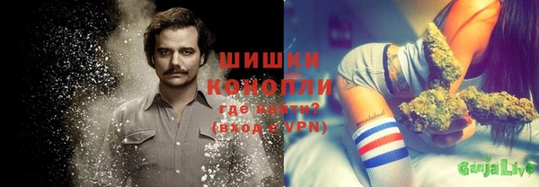 ALPHA PVP Костерёво